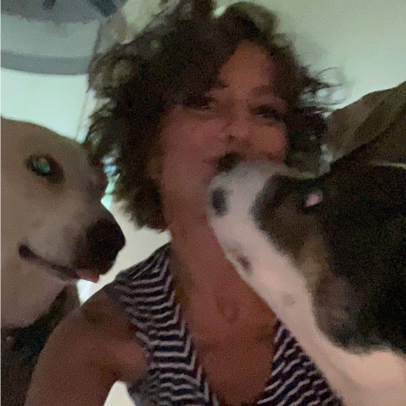 Meet your Posher, Taylor - Picture 3 of 7